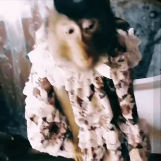 😨 276a8853 telegram sticker