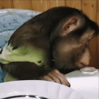 @sticksbb 🩷 <- канал со стиками whatsapp stickers