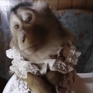 @sticksbb 🩷 <- канал со стиками whatsapp stickers