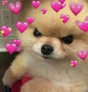 сабакены @iam13yo whatsapp stickers