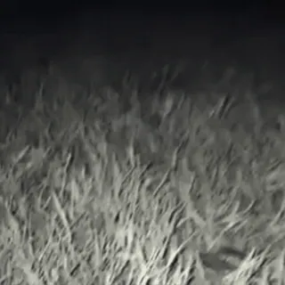 😦 2f286748 telegram sticker