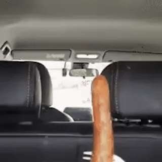 сабачьки @iam13yo whatsapp stickers