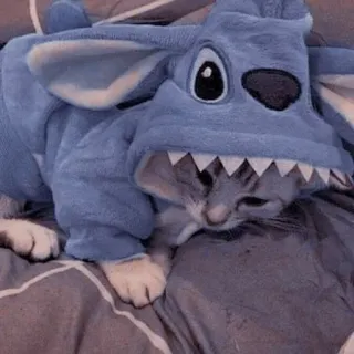 🌟 fd7a8e39 猫, 史迪奇, 动物, 宠物, 可爱, 小猫, 迪士尼 telegram sticker