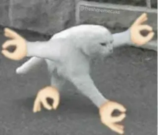 kucing gemoy || @tikelnyakakak telegram stickers