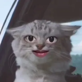 🙂 7f23e7e7 고양이, 동물, 웃긴, 밈, 의인화, 초상화 telegram sticker