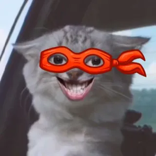 😁 bad01ac2 고양이, 동물, 마스크, 웃긴, 밈 telegram sticker