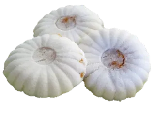 Kuehkueh telegram stickers