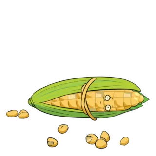 😐 3e319c44 maïs, légume, nourriture, plante, céréale, agriculture telegram sticker