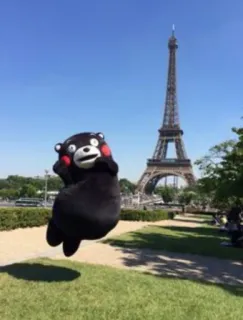 Kumamon Collection Premium!
(@NekoHayashi) telegram stickers