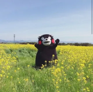 🌱 2c87931a Kumamon kumamon, mascotte, japan, beer, korea telegram sticker