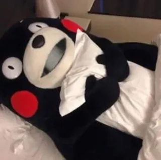 💤 4699a8b0 beer, dier, slaap, kussen, bed telegram sticker