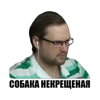🐶 543759dd СОБАКА НЕКРЕЩЕНАЯ Person, Mann, Brille, russisch, Beleidigung, Ausdruck telegram sticker