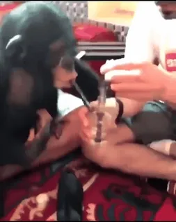 🚬 1ac1382b scimmia, droga, oggetti, bong whatsapp sticker