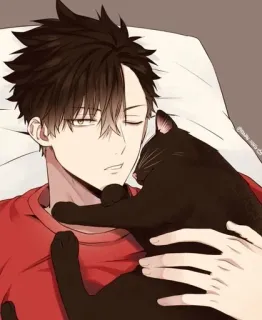 🖤 e6364170 Anime, Katze, Junge, Schlaf, Entspannung, Haustier whatsapp sticker