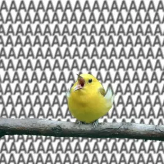 😮 f69ec8cd AAAAAAAAAAAAAAAAAAAAAAAAAAAAAAAAAAAAAAAAAAAAAAAAAAAAAAAAAAAAAAAAAAAAAAAAAAAAAAAAAAAAAAAAAAAAAAAAAAAAAAAAAAAAAAAAAAAAAAAAAAAAAAAAAAAAAAAAAAAAAAAAAAAAAAAAAAAAAAAAAAAAAAAAAAAAAAAAAAAAAAAAAAAAAAAAAAAAAAAAAAAAAAAAAAAAAAAAAAAAAAAAAAAAAAAAAAAA oiseau, jaune, criant, mème, AAAAAAA telegram sticker