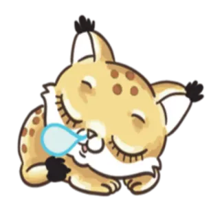 😴 4170c1e4 猞猁, 猫, 动物, 睡觉, 可爱, 卡通 telegram sticker