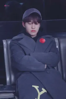 🐯 5c449fbd whatsapp sticker