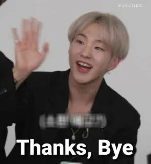🐯 5d697f0c Thanks, Bye saludo, despedida, saludando, kpop, hombre, gracias whatsapp sticker