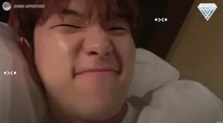 🐯 72adb1ae whatsapp sticker