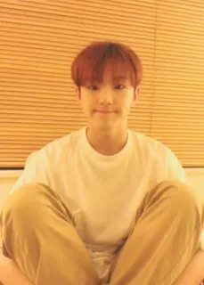 🐯 7db852b8 whatsapp sticker