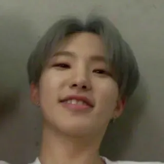 🐯 837e47f9 persona, hombre, retrato, sonriendo, kpop, ídolo whatsapp sticker