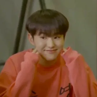 🐯 8f4248d6 asiático, coreano, sonrisa, feliz, persona, retrato whatsapp sticker