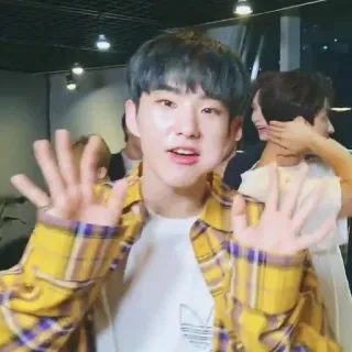 🐯 bf04a16d whatsapp sticker