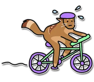 🙄 97e00d35 chat, vélo, cyclisme, sueur, animal, transport, exercice telegram sticker