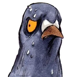 😰 10cd2de4 Taube, wütend, schwitzig, Vogel, Cartoon telegram sticker