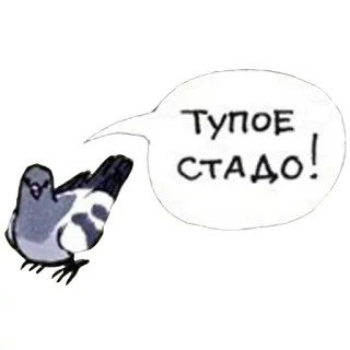 😠 e8c69230 ТУПОЕ СТАДО! Vogel, Taube, beleidigend, Slang telegram sticker