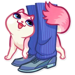 👋 205f70af 猫, 动物, 可爱, 宠物, 贴纸, 卡通 telegram sticker
