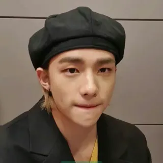 🍋 53657f3d telegram sticker