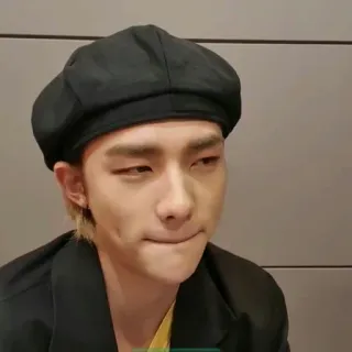 🍋 567af275 persona, ritratto, uomo, basco telegram sticker