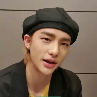 🍋 bc88bde7 ritratto, uomo, basco, Hyunjin telegram sticker