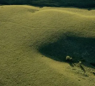 🍀 3a1a4f30 champ, herbe, paysage, nature, extérieur, vert whatsapp sticker