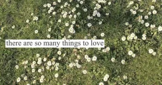 ☁️ 71850051 there are so many things to love amour, pissenlits, champ, nature, positif, herbe whatsapp sticker