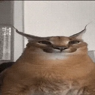 ???? @lalimort @lalimort ???? :: @fStikBot whatsapp stickers