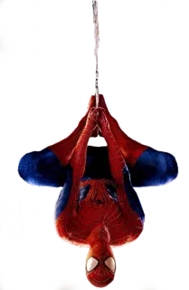 🎃 13c4c8c6 Spider-Man สไปเดอร์แมน, มาร์เวล, ซูเปอร์ฮีโร่, แขวน, หัวกลับ telegram sticker