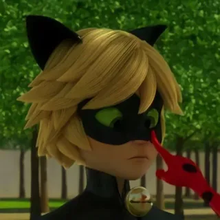 😕 db24ad20 Cat Noir Miraculous Ladybug desenho animado, personagem, Cat Noir, Miraculous Ladybug, super-herói telegram sticker