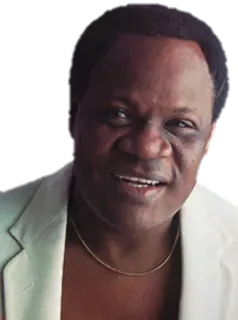 🎤 990a962c telegram sticker