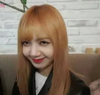 🦋 378a13ac Lisa 리사, K팝, 가수, 웃음, 웃긴 표정, 유명인, 블랙핑크 telegram sticker