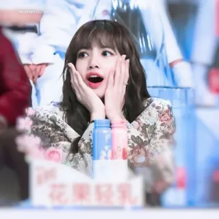 Lisa @stikerpacktele telegram stickers