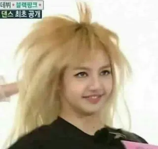 🦋 a736edd2 Lisa 리사, 블랙핑크, 아이돌, 웃긴, 밈, 연예인, K팝 telegram sticker