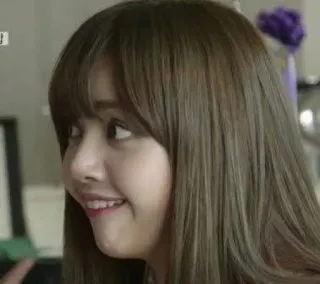 🦋 b2215bef Lisa kpop, 연예인, 여자, 미소, 인물사진 telegram sticker