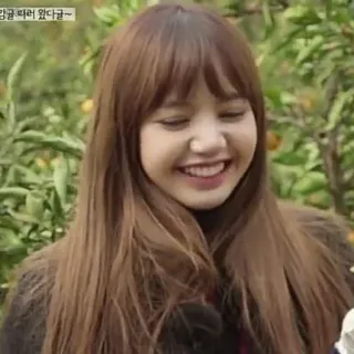 🧚‍♀ 51cf3d41 감귤 따러 왔다귤~ woman, smile, outdoors, tree telegram sticker