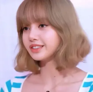 🍭 d1210309 Lisa 韩流, 偶像, 歌手, 女性, 肖像 whatsapp sticker