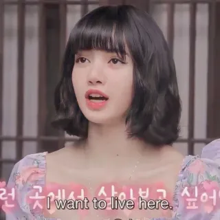 🌼 11436a11 I want to live here. 인용구, 텍스트, 문구 telegram sticker