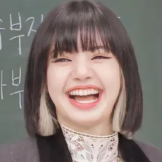 🌼 70bfc3b2 Lisa 여자, 미소, 사람, 얼굴, k팝, 가수, 블랙핑크, 한국 telegram sticker