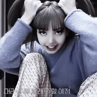 🍒 358d5fff 머리 풀지 말래로 할 예정 韩语, 女人, 双马尾, 头发, 名人 telegram sticker