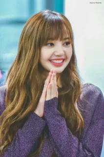 🙏 559abef4 Lisa kpop, ラリサ, リサ, blackpink, アイドル, 歌手 telegram sticker
